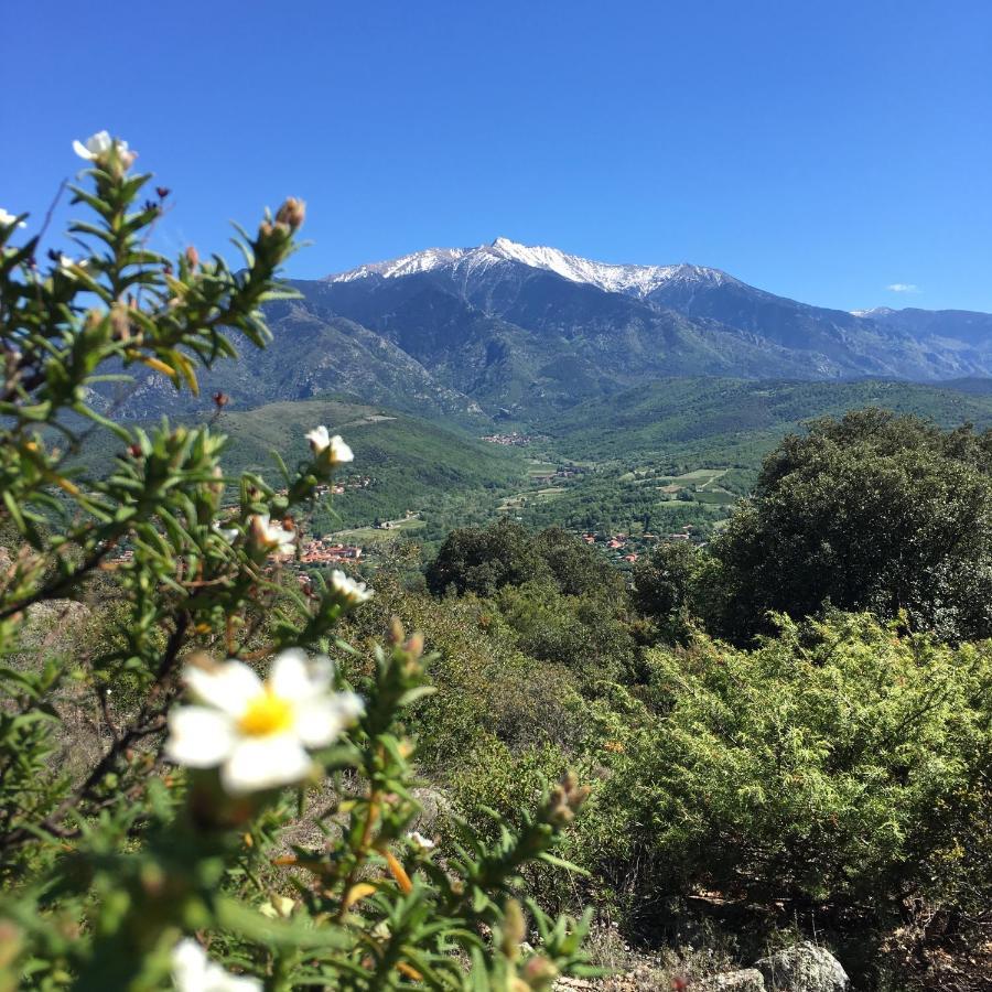 Les Loges De La Prades (Pyrenees-Orientales)