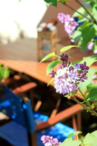 Les Loges De La Holiday home Prades (Pyrenees-Orientales)